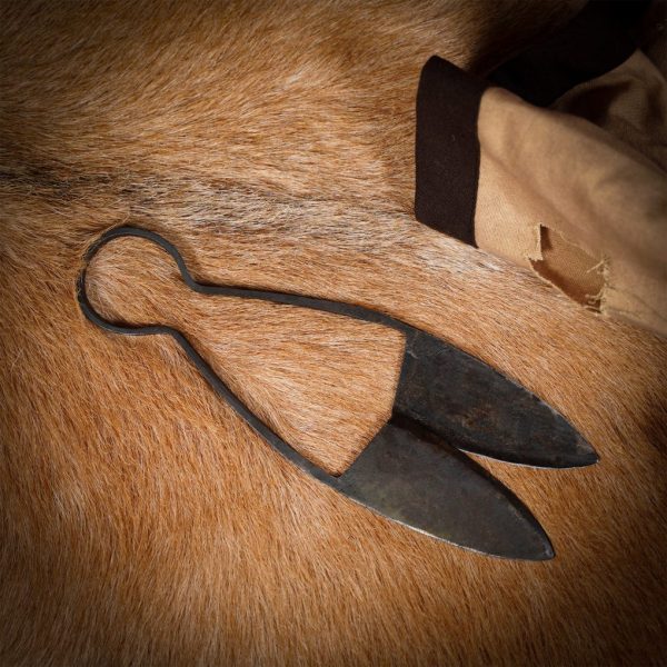 Early Medieval Hand Forged Iron Scissors Fully Functional Accessory