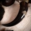 Engraved Skull Cross Drinking Horn Handcrafted from Genuine Ox Horn