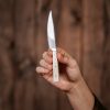 Medieval Small Stainless Steel Knife With Genuine Bone Handle