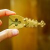 Renaissance Pure Solid Brass Belt End Chape Functional Accessory