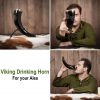 Engraved Twin Ravens Drinking Horn with Brass Fittings Handcrafted Genuine Ox Horn