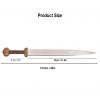 Roman Gladius Sword with Scabbard Functional
