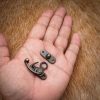 Antique Brass Small Hasp Latch Set of 3