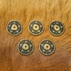 Antique Brass Pentacle Adornments Set of 5 Ideal Leather and Clothing Accessory