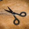 Antique Iron Hand Forged Scissors Fully Functional Medieval Accessory