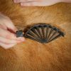 Hand Forged Iron Nails Set of 10 Pieces Fully Functional Accessory