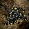 Medieval Viking Handcrafted Rune Stones Set with Bag Gaming Accessory