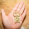 Medieval Wolf Solid Brass Belt Buckle Leather Accessory