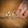 Medieval Pure Solid Brass Leather Mounts Functional Set of 5