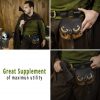 Medieval Leather Belt Pouch with Brass Decoration | Suede Leather Pouch with Buff Top Grain Leather Flap | Solid Brass Decoration and Buckle | Riveted Loops