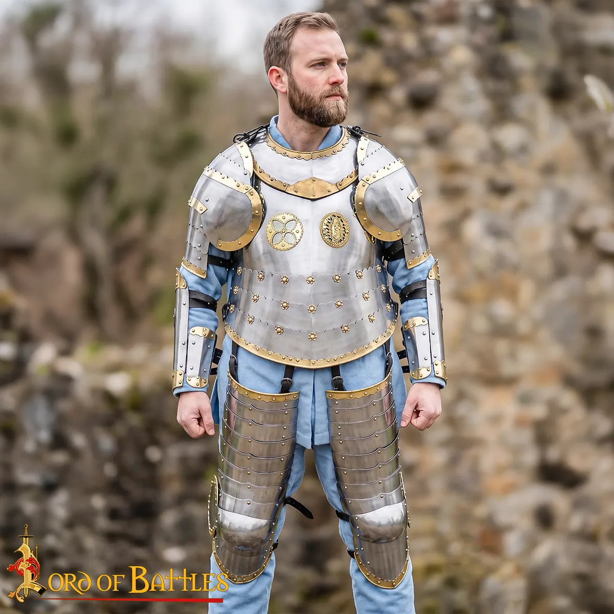 Polish Hussar Armor Pauldrons - Image 7