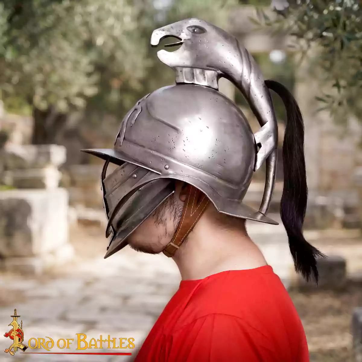 Thraex Spartacus Gladiator Helmet - Image 7